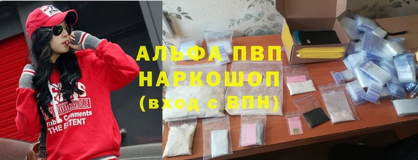 шишки Белоозёрский