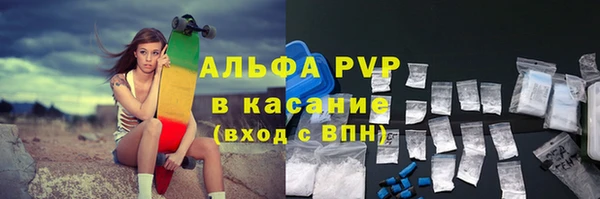 ECSTASY Белокуриха