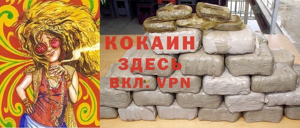 шишки Белоозёрский