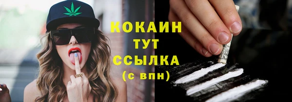 шишки Белоозёрский