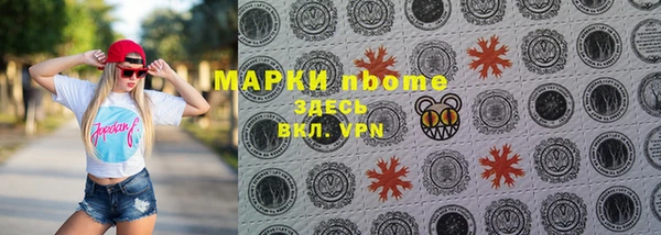 шишки Белоозёрский