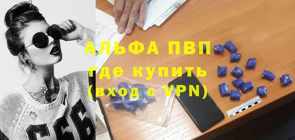 спайс Беломорск