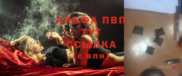 спайс Беломорск