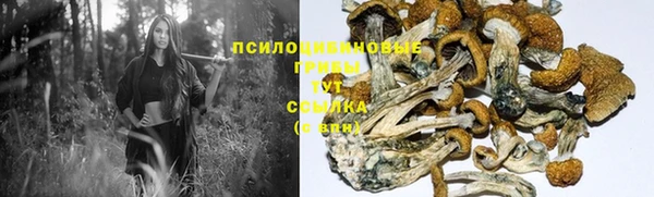 спайс Беломорск