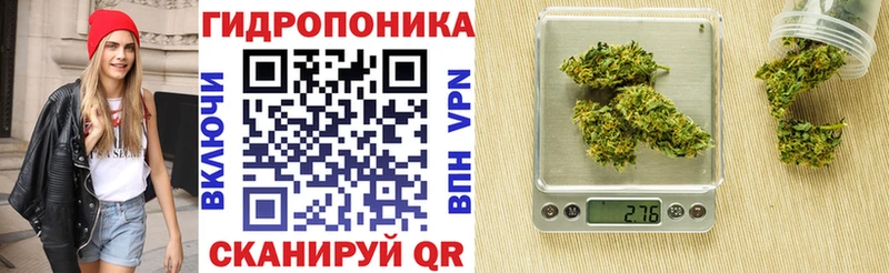 Бошки Шишки VHQ  как найти   Воткинск 